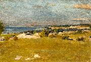 johan krouthen, gotlansk strand,